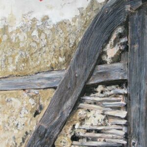VIGNARD ROSE, oil on canvas, 89x40 cm, 2011