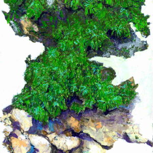 BUSH ON THE ROCK_01_58x40 cm_acrylic_2020.